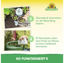 Anleitung für Neudorff SF-Nematoden: Schritt eins Übertöpfe reinigen, Schritt zwei Nematoden mit Wasser in Gießkanne mischen. Neudorff Logo.