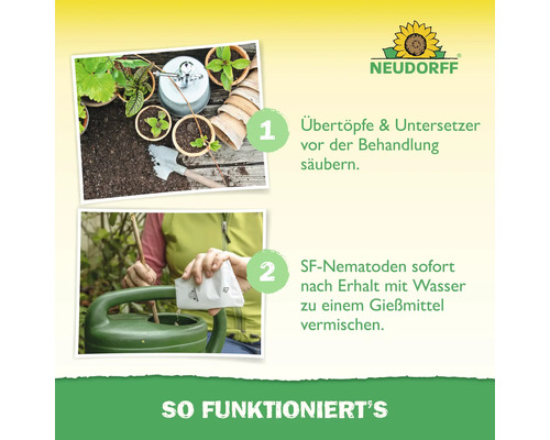 Anleitung für Neudorff SF-Nematoden: Schritt eins Übertöpfe reinigen, Schritt zwei Nematoden mit Wasser in Gießkanne mischen. Neudorff Logo.