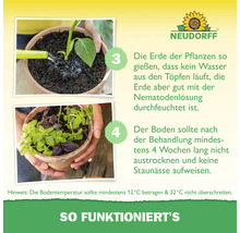 Infografik zur Anwendung von Neudorff Nematoden: Schritt 3 Gießen der Erde und Schritt 4 Feuchthalten für 4 Wochen. Neudorff Logo.