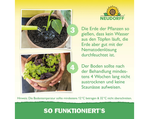 Infografik zur Anwendung von Neudorff Nematoden: Schritt 3 Gießen der Erde und Schritt 4 Feuchthalten für 4 Wochen. Neudorff Logo.