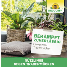 Zimmerpflanzen in geflochtenen Körben auf einer hellen Fensterbank. Neudorff Logo. Text zur Bekämpfung von Trauermückenlarven durch Nützlinge.