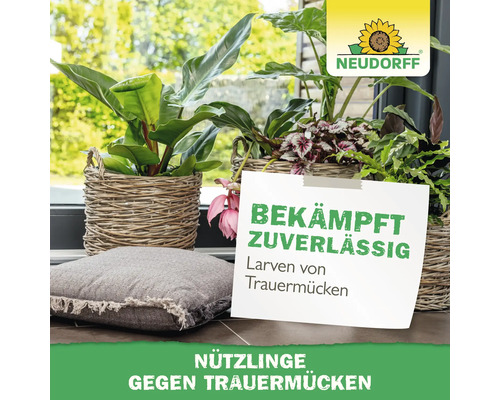 Zimmerpflanzen in geflochtenen Körben auf einer hellen Fensterbank. Neudorff Logo. Text zur Bekämpfung von Trauermückenlarven durch Nützlinge.
