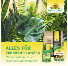 Neudorff Produkte für Zimmerpflanzen: Bio Erde, flüssiger Dünger und Gelb-Sticker vor einem Hintergrund aus üppigen grünen Blättern.