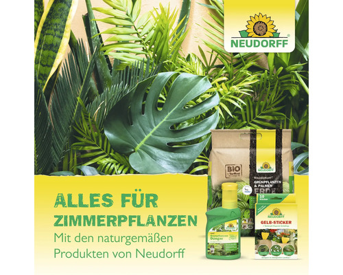 Neudorff Produkte für Zimmerpflanzen: Bio Erde, flüssiger Dünger und Gelb-Sticker vor einem Hintergrund aus üppigen grünen Blättern.