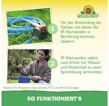 Neudorff Logo. Anwendung von SF-Nematoden. Schritt eins: Geräte reinigen. Schritt zwei: Mischung ansetzen. Temperatur zwischen 12 und 28 Grad.