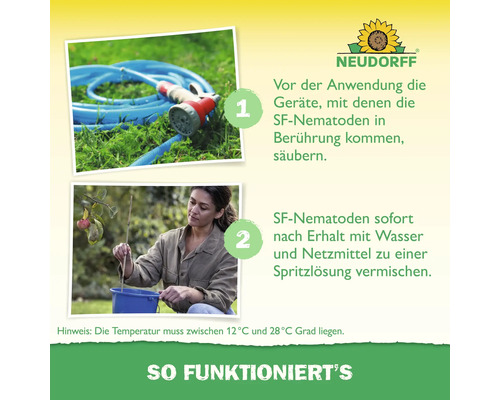 Neudorff Logo. Anwendung von SF-Nematoden. Schritt eins: Geräte reinigen. Schritt zwei: Mischung ansetzen. Temperatur zwischen 12 und 28 Grad.
