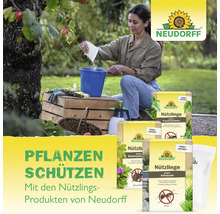 Frau im Garten bereitet Neudorff Nützlinge in einem Eimer vor, umgeben von Produkten gegen Trauermücken, Dickmaulrüssler und Ameisen. Neudorff Logo.