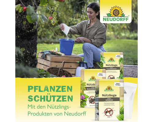 Frau im Garten bereitet Neudorff Nützlinge in einem Eimer vor, umgeben von Produkten gegen Trauermücken, Dickmaulrüssler und Ameisen. Neudorff Logo.