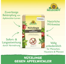 Neudorff Nützlinge gegen Apfelwickler zur natürlichen Bekämpfung von Larven an Obstbäumen, unbedenklich für Mensch und Tier.