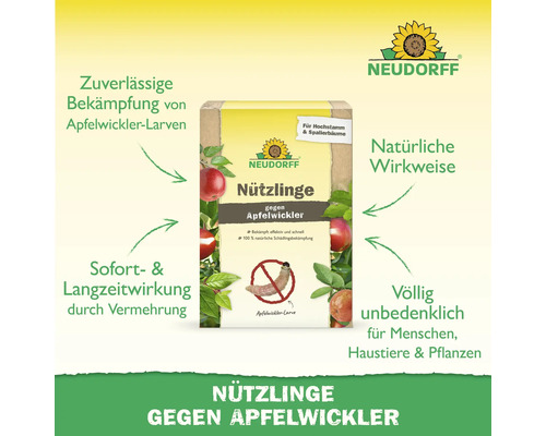 Neudorff Nützlinge gegen Apfelwickler zur natürlichen Bekämpfung von Larven an Obstbäumen, unbedenklich für Mensch und Tier.