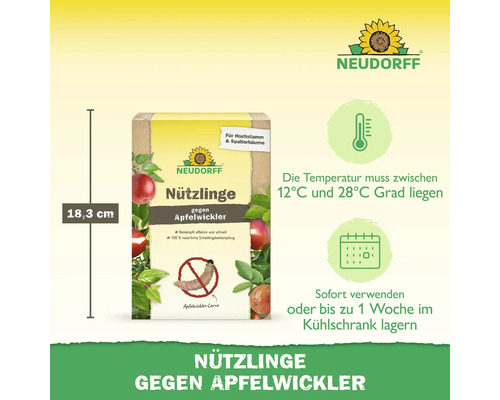 Neudorff Nützlinge gegen Apfelwickler, 18,3 Zentimeter. Anwendung bei 12 bis 28 Grad, sofort nutzen oder 1 Woche kühlen. Neudorff Logo.