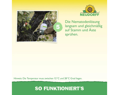 Schritt 5: Nematodenlösung gleichmäßig mit einem Drucksprüher auf Baumstamm und Äste sprühen bei 12 bis 28 Grad Celsius. Neudorff Logo.