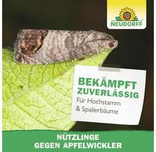 Apfelwickler auf einem Blatt mit Neudorff Logo. Text: Bekämpft zuverlässig für Hochstamm und Spalierbäume, Nützlinge gegen Apfelwickler.