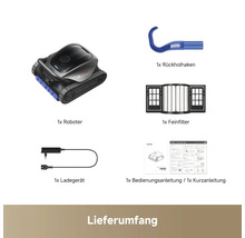Lieferumfang Poolroboter: Roboter, Rückholhaken, Feinfilter, Ladegerät, Bedienungsanleitung und Kurzanleitung.