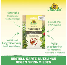 Neudorff Bestell-Karte Nützlinge gegen Spinnmilben zur natürlichen Bekämpfung im Innenbereich, ausreichend für 10 Quadratmeter.