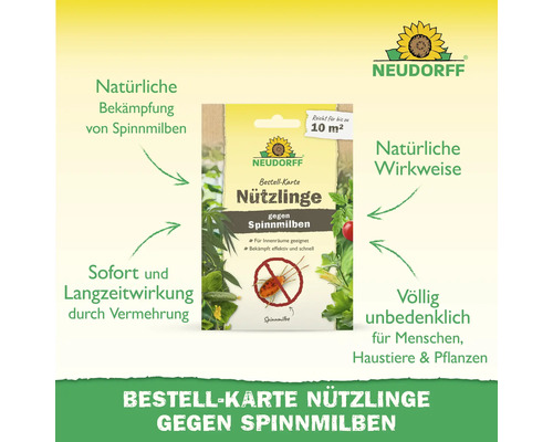 Neudorff Bestell-Karte Nützlinge gegen Spinnmilben zur natürlichen Bekämpfung im Innenbereich, ausreichend für 10 Quadratmeter.