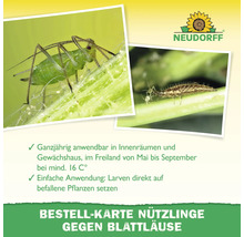 Bestellkarte für Nützlinge gegen Blattläuse mit Informationen zur Anwendung ab 16 Grad Celsius und Bildern von Blattläusen und Larven. Neudorff Logo.