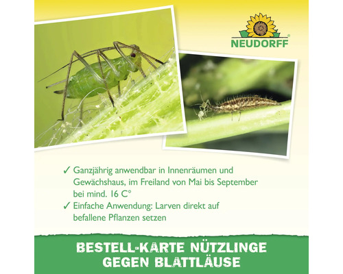 Bestellkarte für Nützlinge gegen Blattläuse mit Informationen zur Anwendung ab 16 Grad Celsius und Bildern von Blattläusen und Larven. Neudorff Logo.