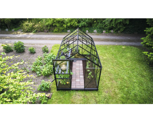 Freistehendes Gewächshaus aus Glas mit schwarzem Rahmen und Satteldach in einem Garten mit Pflanzen und gepflastertem Weg.