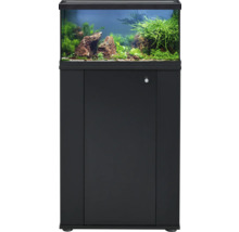 Aquarium-Kombination mit Glasbecken, schwarzer Abdeckung und schwarzem Unterschrank, eingerichtet mit Pflanzen und Steinen.