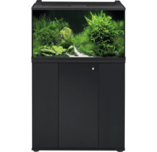 Aquarium-Kombination mit schwarzem Unterschrank, Aquascaping mit verschiedenen grünen Pflanzen, Steinen und weißem Sandweg.