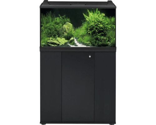 Aquarium-Kombination mit schwarzem Unterschrank, Aquascaping mit verschiedenen grünen Pflanzen, Steinen und weißem Sandweg.