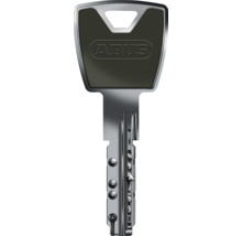 ABUS Wendeschlüssel für Schließzylinder aus Metall mit ergonomischem Kopf.