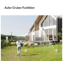 Überwachungskamera an modernem Wohnhaus illustriert Auto-Cruise-Funktion mit markiertem Überwachungspfad über eine Schafweide mit Person.