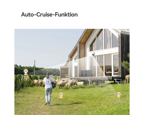 Überwachungskamera an modernem Wohnhaus illustriert Auto-Cruise-Funktion mit markiertem Überwachungspfad über eine Schafweide mit Person.