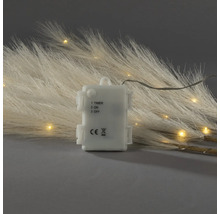 Batteriefach einer LED-Lichterkette mit Timerfunktion und Schalter, erfüllt europäische Sicherheitsnormen, im Hintergrund beleuchtetes Pampasgras.