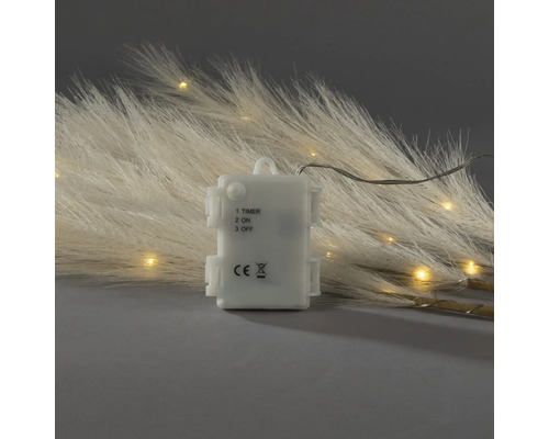 Batteriefach einer LED-Lichterkette mit Timerfunktion und Schalter, erfüllt europäische Sicherheitsnormen, im Hintergrund beleuchtetes Pampasgras.