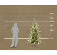 Künstlicher Weihnachtsbaum mit LED-Beleuchtung in einem Größenvergleich mit einer Person und Höhenangaben bis zu 240 Zentimetern.