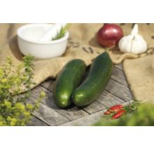 Zwei frische Gurken auf einem Holztisch mit Zwiebel, Knoblauch, Chili, Kräutern und einem Mörser.
