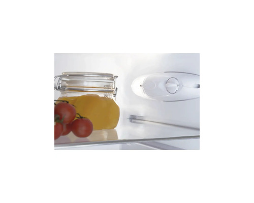 Innenansicht eines Kühlschranks mit Glasablage, Einmachglas, Tomaten und einem mechanischen Thermostatregler.