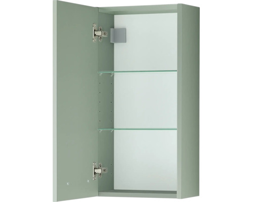 Bad-Wandschrank mit einer Tür und zwei Glaseinlegeböden.