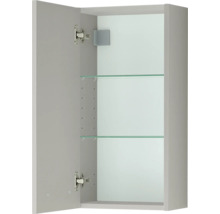 Grauer Hängeschrank mit geöffneter Tür, zwei Einlegeböden aus Glas und Metallscharnieren.