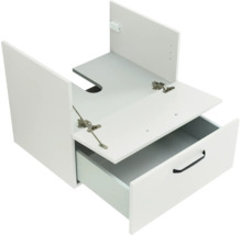 Waschbeckenunterschrank mit einer Schublade, einer Klappe und Siphonausschnitt.
