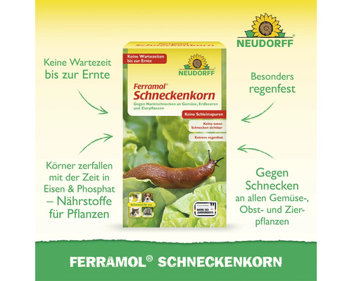 Neudorff Ferramol Schneckenkorn gegen Nacktschnecken an Gemüse, Obst und Zierpflanzen. Regenfest, ohne Wartezeit, schont Haustiere und Nützlinge.