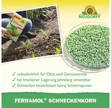 Neudorff Logo, Ferramol Schneckenkorn zur Anwendung im Garten, Ansicht der Granulatkörner und Vorteile wie Erntesicherheit und keine Schleimspuren.