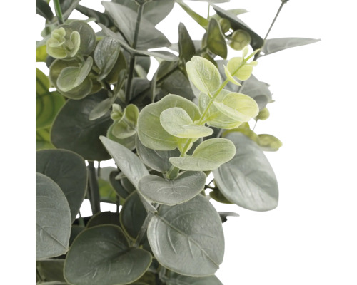 Künstliche Eukalyptus-Pflanze mit runden, grünen Blättern.
