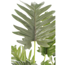 Detailansicht eines künstlichen grünen Philodendron-Blattes mit tief eingeschnittenen Rändern für die Dekoration.