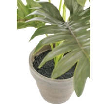 Künstliche Philodendron Pflanze im Steintopf