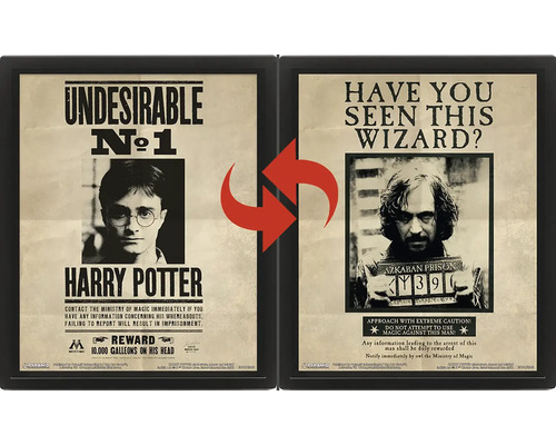Harry Potter 3D-Lentikularposter im schwarzen Rahmen mit wechselndem Motiv von Harry Potter und Sirius Black.