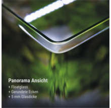Nahaufnahme einer abgerundeten Ecke eines Panorama-Aquariums aus Floatglas mit 5 Millimeter Glasstärke.