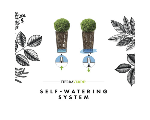 Diagramm des Tierra Verde Selbstbewässerungssystems für Pflanzkübel mit Wasserspeicher, Wurzelbewässerung und Überlauf-Ablaufmechanismus.