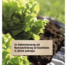Salatpflanze in Erde mit Hinweis zur Bodenverbesserung und Wachstumsförderung, dreimal jährlich anzuwenden.