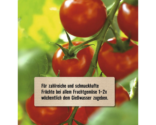 Strauchtomaten mit Dünger-Anwendungshinweis: Für schmackhafte Früchte ein- bis zweimal wöchentlich dem Gießwasser zugeben.
