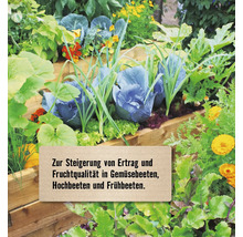 Bepflanztes Hochbeet aus Holz mit verschiedenen Gemüsesorten wie Kohl und Salat sowie Blumen in einem Garten.