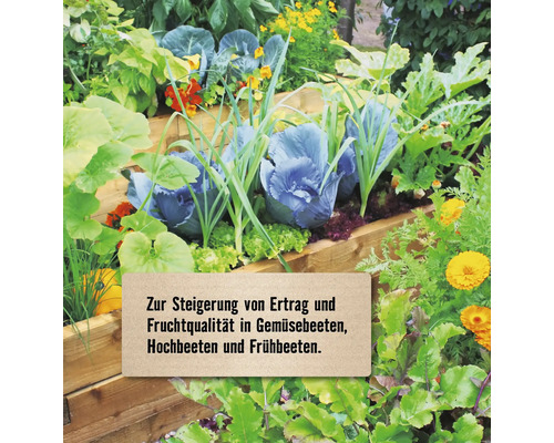 Bepflanztes Hochbeet aus Holz mit verschiedenen Gemüsesorten wie Kohl und Salat sowie Blumen in einem Garten.