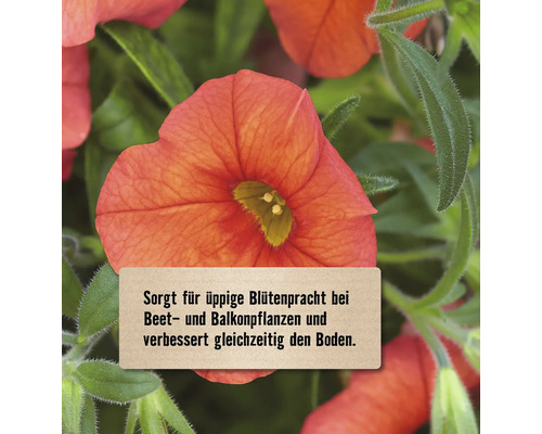 Produktvorteil für üppige Blütenpracht bei Beetpflanzen und Balkonpflanzen sowie Bodenverbesserung.